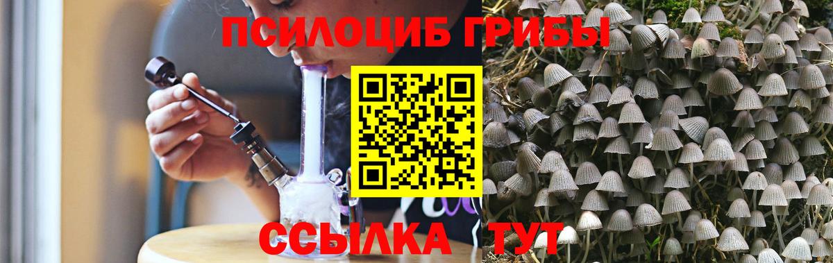 Киров  Псилоцибиновые грибы ЛСД  Вход с VPN 